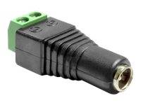 DELOCK Adapter Terminalblock 2Pin -> DC 2,5 x 5,5mm Buchse von Delock