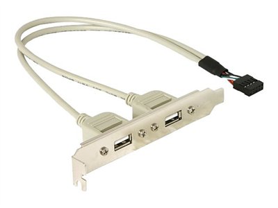 DELOCK Slotblech 2x USB A von Delock