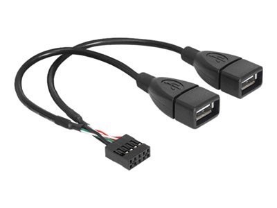 DELOCK USB Kabel Pinheader 10Pin -> 2x A Bu/Bu 0.20m DELOCK USB Kabel Pinheader 10Pin -> 2x A Bu/Bu 0.20m von Delock