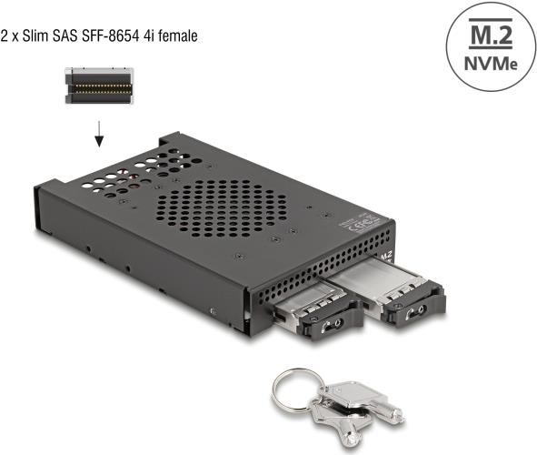 DeLOCK 3.5? Wechselrahmen für 2 x M.2 NVMe SSD mit Slim SAS SFF-8654 Anschluss (47117) von Delock