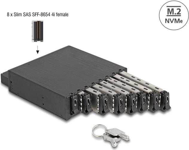 DeLOCK 5.25? Wechselrahmen für 8 x M.2 NVMe SSD mit Slim SAS SFF-8654 Anschluss - 13,3 cm (5.25) - Speicherlaufwerkbehälter - Schwarz - PCI Express 4.0 - M.2 - Metall (47129) von Delock