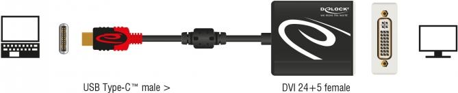 DeLOCK 61213 Videokabel-Adapter 0,2 m USB Typ-C DVI Schwarz (61213) von Delock