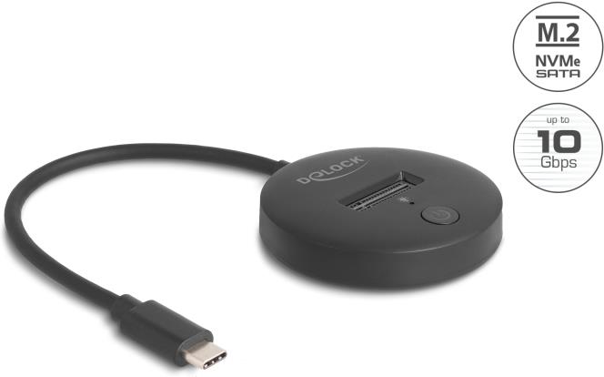 DeLOCK 64254 Speicherlaufwerk-Docking-Station USB 3.2 Gen 1 (3.1 Gen 1) Type-C Schwarz (64254) von Delock