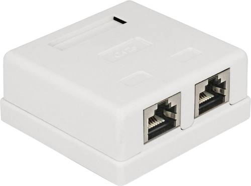 Delock 86269 Netzwerkdose Unterputz Einsatz mit Zentralplatte und Rahmen CAT 6 2 Port Weiß von Delock