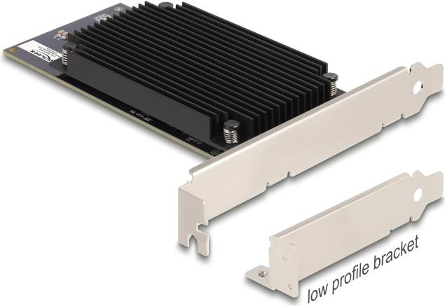 Delock PCI Express x8 Hailo-8 AI Prozessor x2 KI-Beschleuniger (31416) von Delock