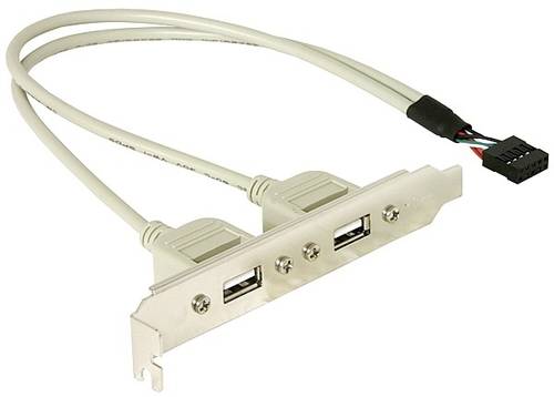 Delock Slotbracket 1x internal USB 5pin > 2x USB2.0 external PC-Slotblech 1St. von Delock