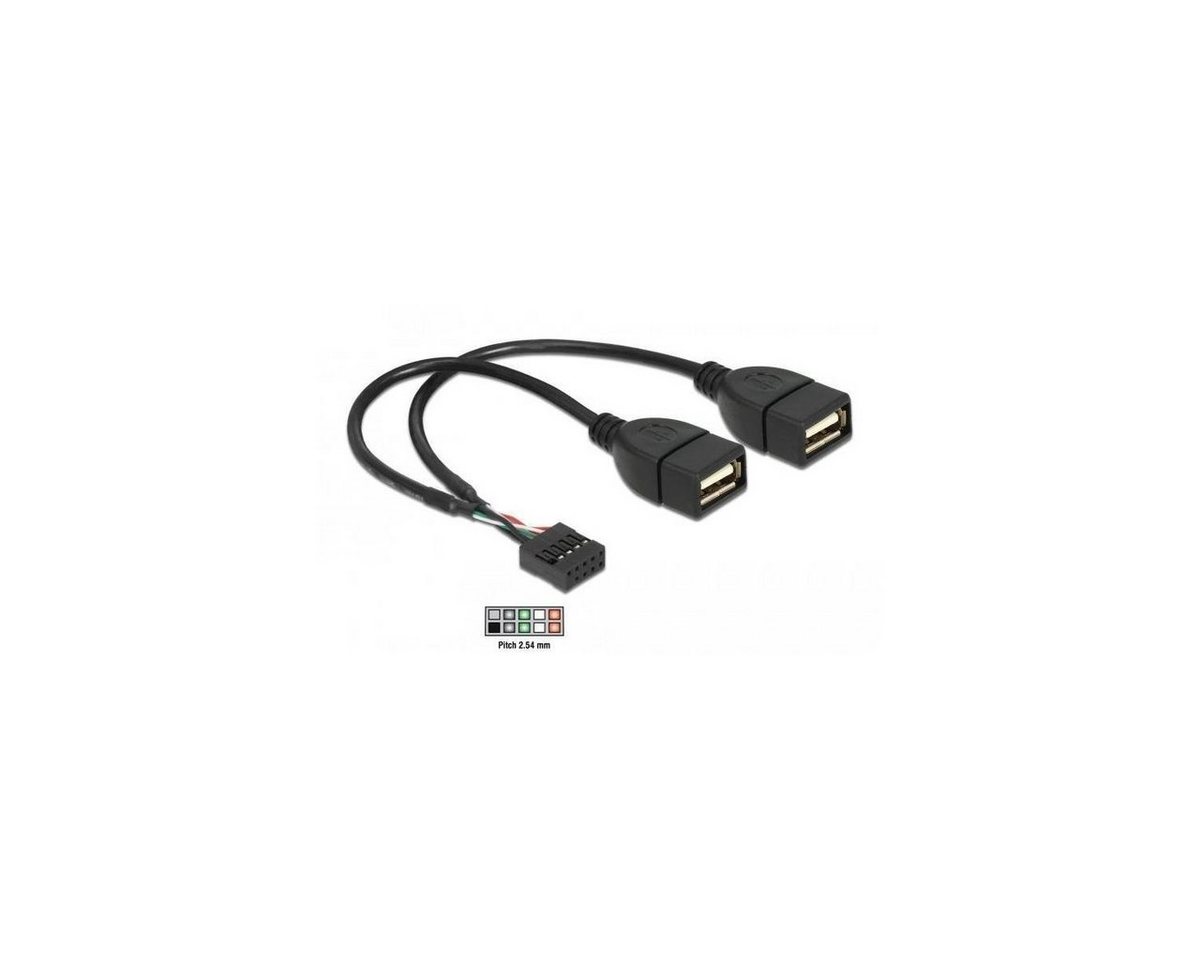 Delock USB Kabel Pin Header Buchse > 2 x USB 2.0 Typ-A Buchse 20 cm Computer-Kabel, USB Pfostenbuchse, USB (20,00 cm) von Delock