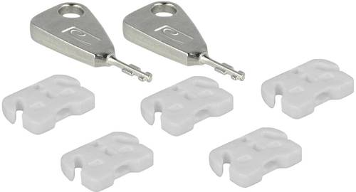 Delock USB Port Schloss 20648 5er Set Weiß inkl. 2 Schlüssel 20648 von Delock