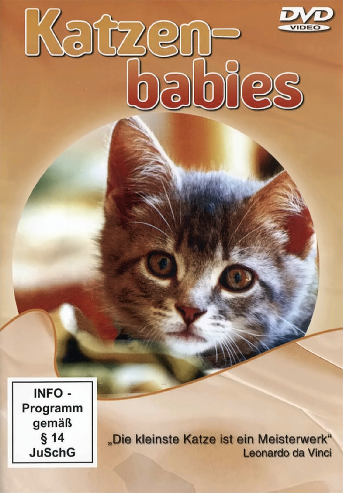 Katzenbabies von Delta Music