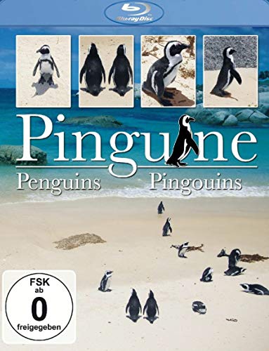 Pinguine [Blu-ray] von Delta Music