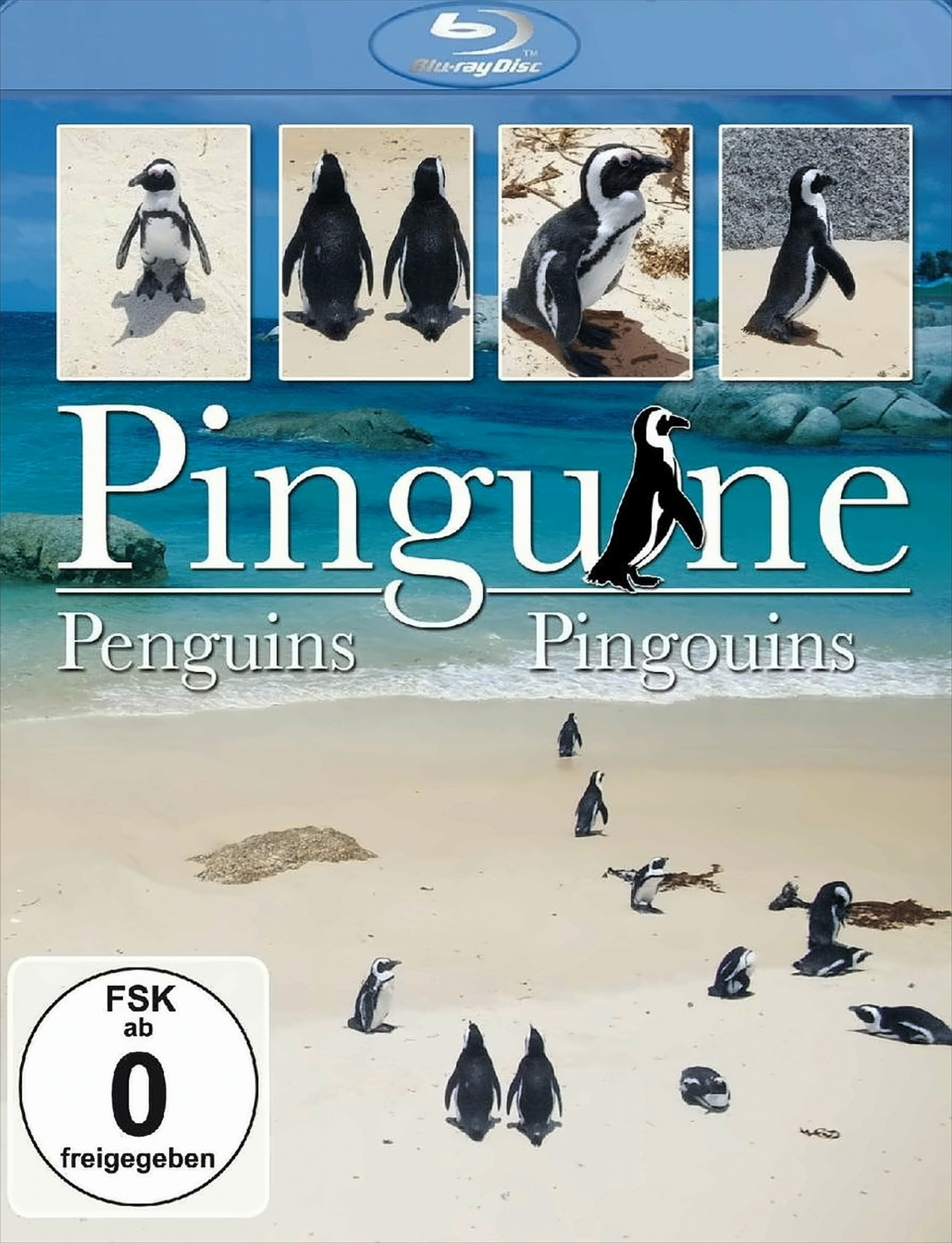 Pinguine von Delta Music