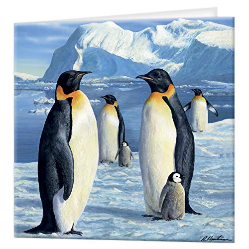 3D LiveLife Grußkarte - Antarktische Majestät von Deluxebase. Bunte Pinguin-linsenförmige 3D-Karte für jeden Anlass und jedes Alter. Originalvorlage lizenziert vom bekannten Künstler Robert Hautman von Deluxebase