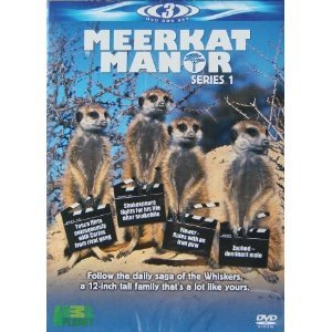 Meerkat Manor Series 1, 3 DVD Box Set [UK Import] von Demand Media Limited