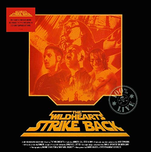 Strike Back [Vinyl LP] von Demon (H'Art)