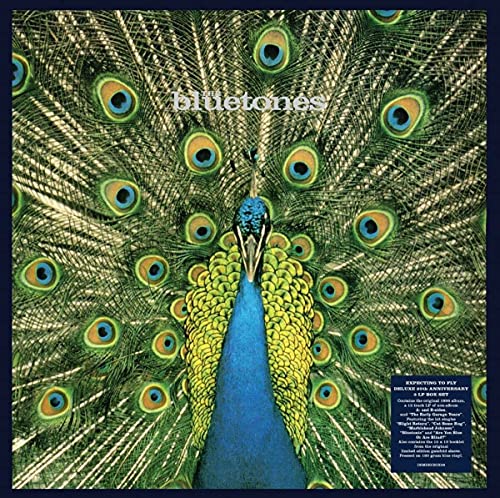 Expecting to Fly (25th Anniv.3lp Deluxe Box) [Vinyl LP] von Demon Records