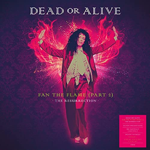 Fan the Flame (Part 2) - the Resurrection von Demon Records