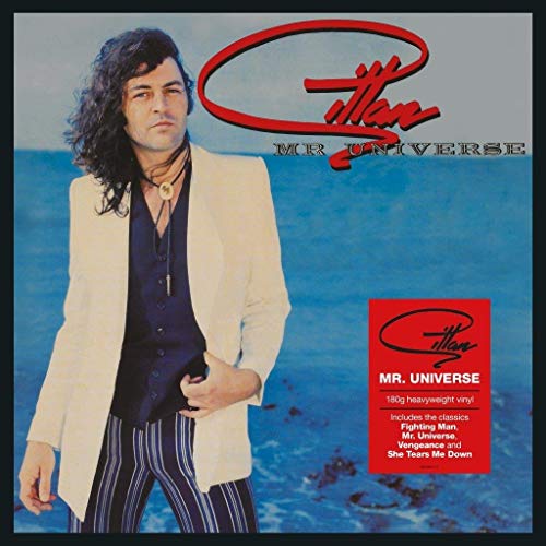 Mr. Universe [Vinyl LP] von Demon Records