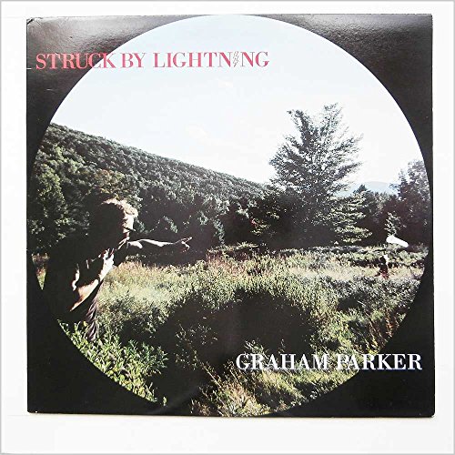 Struck by lightning [Vinyl LP] von Demon