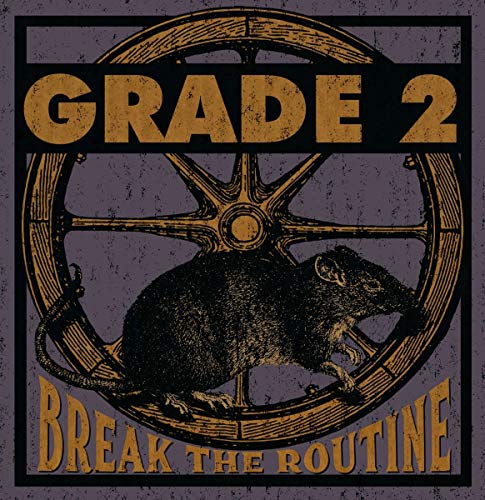 Break the Routine (Dark Purple Vinyl) [Vinyl LP] von Demons Run Amok Entertainment (Soulfood)