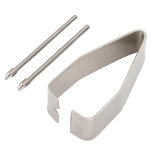 2 Stück Ersatz-Stiftspitzen, Metallspitzen für Pro 7 6 5 4 Series Modell 1776 Laptop Stylus mit 4096 Druckstufe, Neigungsunterstützung von Denash
