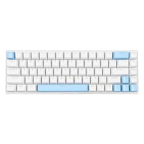 Denash Gaming-Tastatur, Plug-and-Play, 68 Tasten, Computertastatur, N-Tasten-Rollover, RGB-Hintergrundbeleuchtung, für Familie (Weiß Blau) von Denash