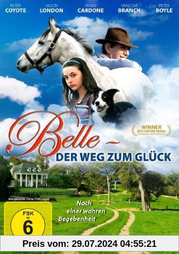 Belle - Der Weg zum Glück von Dennis Fallon