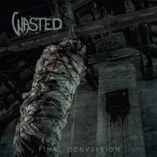 Final Convulsion [Vinyl LP] von Denomination