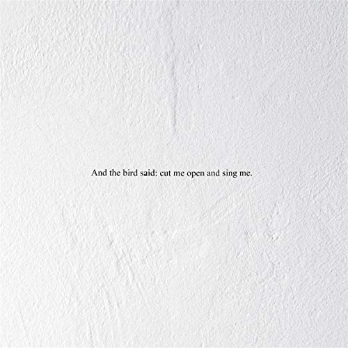 And the Bird Said: Cut Me Open and Sing Me [Vinyl LP] von Denovali (H'Art)