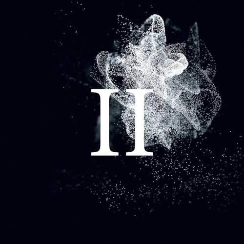 II [Vinyl LP] von Denovali (H'Art)