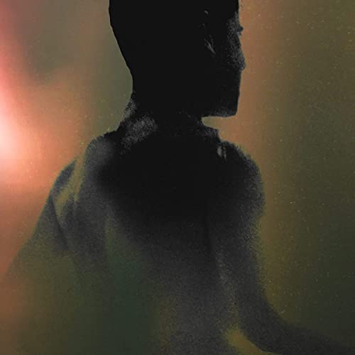 Raeon [Vinyl LP] von Denovali Records