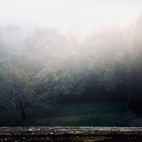 Spectral [Vinyl LP] von Denovali Records