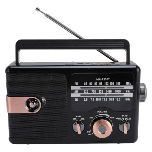 Portable AM ​​FM Radio, 4 in 1 Uhr FM SW Shortwave Full Band Radio MP3 Player Wireless BT -Lautsprecher Support SD -Karte USB -Flash -Laufwerke USB C Wiederaufladbare Radios (Black) von Depisuta