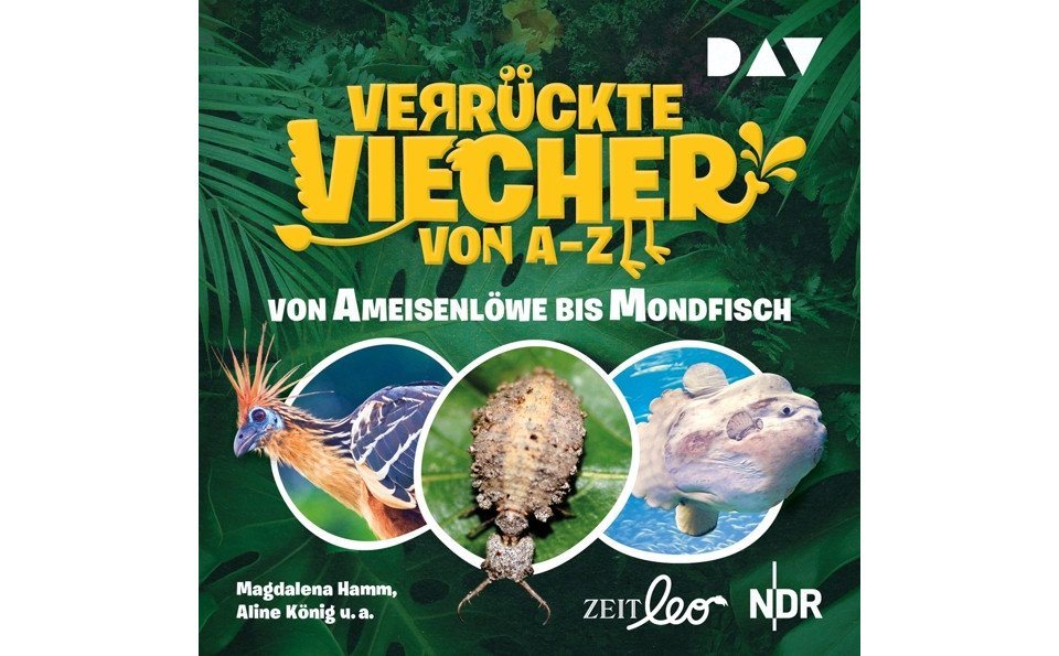 Der Audio Verlag Hörspiel-CD Verrückte Viecher von A bis Z - Von Ameisenlöwe bis Mondfisch, 1 Au... von Der Audio Verlag