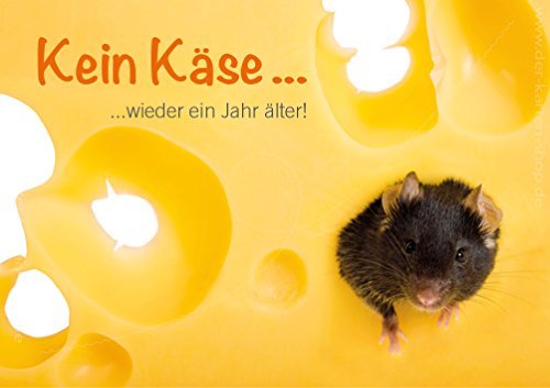 3 Stk. Witzige Doppelkarte mit Kuvert, Geburtstagskarte oder Einladungskarte mit Maus "Kein Käse.. wieder ein Jahr älter" von Der-Karten-Shop.de