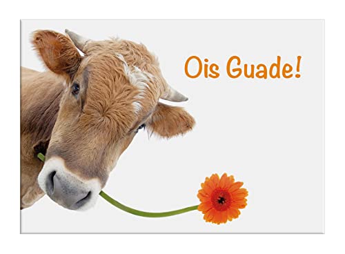 3 Stück A6 Postkarten, Geburtstagskarte, Postkarte, Karte zum Geburtstag Kuh mit Blume: "Ois Guade" von Der-Karten-Shop.de