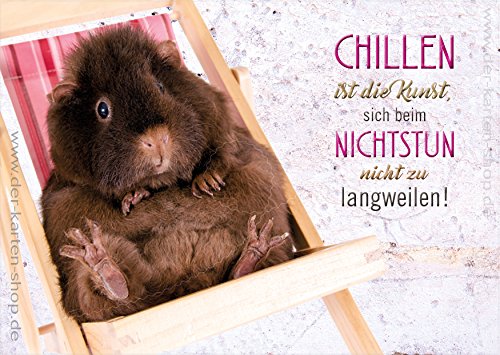 3 Stück A6 Postkarten Karte Grußkarte Meerschweinchen im Liegestuhl "Chillen ist die Kunst, sich beim Nichtstun nicht zu langweilen!" von Der-Karten-Shop.de