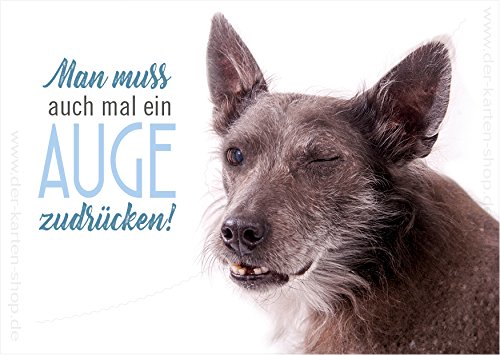 3 Stück A6 Postkarten Karte Grußkarte hässlicher Hund "Man muss auch mal ein Auge zudrücken!" von Der-Karten-Shop.de