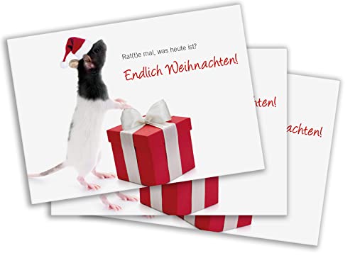 3 Stück A6 Tierpostkarte, Karte, Weihnachtskarte Weihnachten Ratte mit Geschenk "Endlich Weihnachten" von Der-Karten-Shop.de