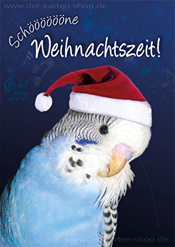 3 Stück A6 Tierpostkarte, Weihnachtskarte Karte Weihnachten Wellensittich mit Nikolausmütze "Schöne Weihnachtszeit" von Der-Karten-Shop.de