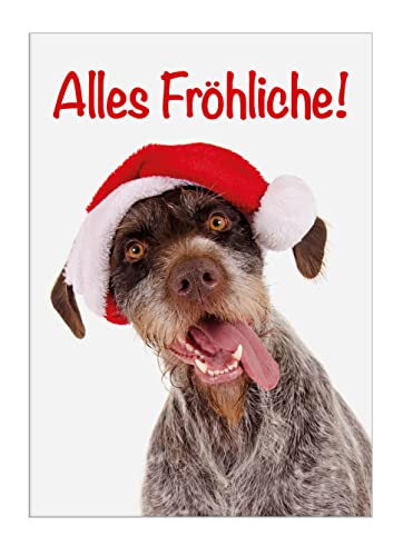 3 Stück A6 Tierpostkarten Weihnachten, Weihnachtskarten lustiger Hund, Jagdhund Nikolausmütze "Alles Fröhliche!" von Der-Karten-Shop.de