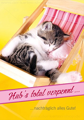 3 Stück Doppelkarte mit Kuvert Karte Geburtstagskarte Geburtstag vergessen Kätzchen "Hab's total verpennt...nachträglich alles Gute!" von Der-Karten-Shop.de