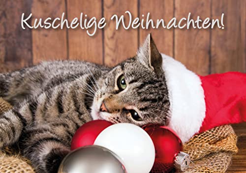 3 Stück Doppelkarte mit Kuvert Katzenkarte Weihnachtskarte Katze kuschelige Weihnachten von Der-Karten-Shop.de