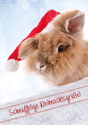 3 Stück Weihnachtskarten Doppelkarte mit Kuvert Karte Weihnachten Weihnachtskarte süßes Kaninchen Hase "Schnuffelige Weihnachtsgrüße!" von Der-Karten-Shop.de