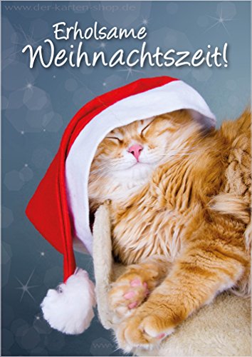 3 Stück Weihnachtskarten Doppelkarte mit Kuvert Katzenkarten Weihnachten Weihnachtskarte Katze Karte "Erholsame Weihnachtszeit" von Der-Karten-Shop.de