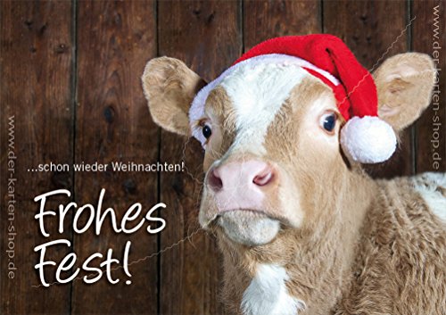 3 Stück Weihnachtskarten Doppelkarte mit Kuvert Weihnachten Weihnachtskarte Kalb, Kuh mit Nikolausmütze "Frohes Fest!" von Der-Karten-Shop.de