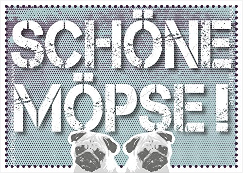 3 Stück freche Postkarten Spruchkarte Karte mit zwei Mops-Köpfen und Spruch "Schöne Möpse!" von Der-Karten-Shop.de