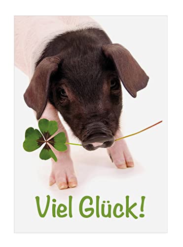 3 Stück süße A6 Tierpostkarten Postkarten Grußkarte kleines Ferkel, Schwein mit Glücksklee: "Viel Glück!" von Der-Karten-Shop.de