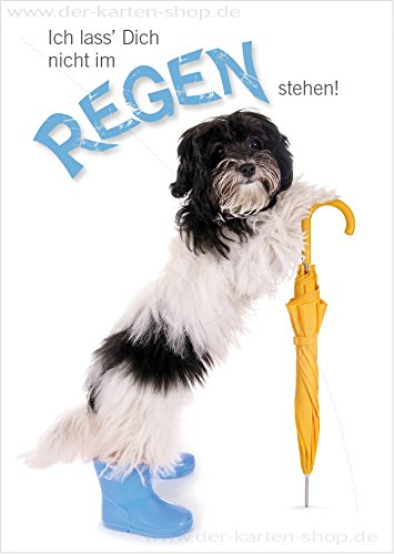 3 Stück witzige A6 Tierpostkarten Postkarte Grußkarte süßer Hund mit Regenschirm "Ich lass Dich nicht im Regen stehen!" von Der-Karten-Shop.de