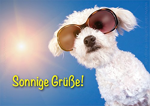 A6 Tierpostkarte, Postkarte, Grußkarte, Ansichtskarte Hund mit Sonnenbrille, Sonnige Grüße im 3er Set von Der-Karten-Shop.de