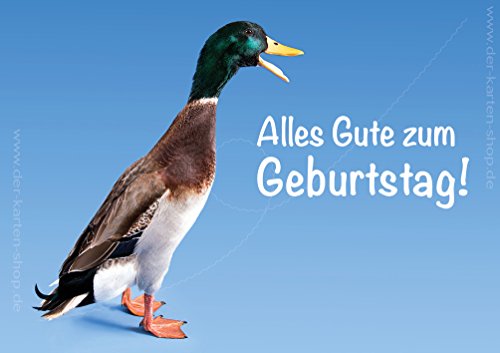 Doppelkarte mit Kuvert, Geburtstagskarte mit quakender Ente im 3er Set von Der-Karten-Shop.de
